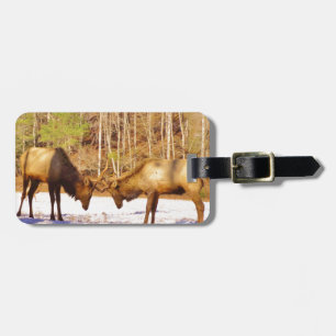2~ two Bull Elk in the snow Luggage Tag