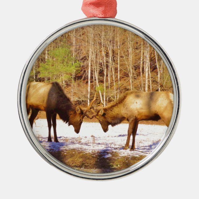 2~ two Bull Elk in the snow Metal Tree Decoration (Front)