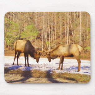 2~ two Bull Elk in the snow Mouse Mat