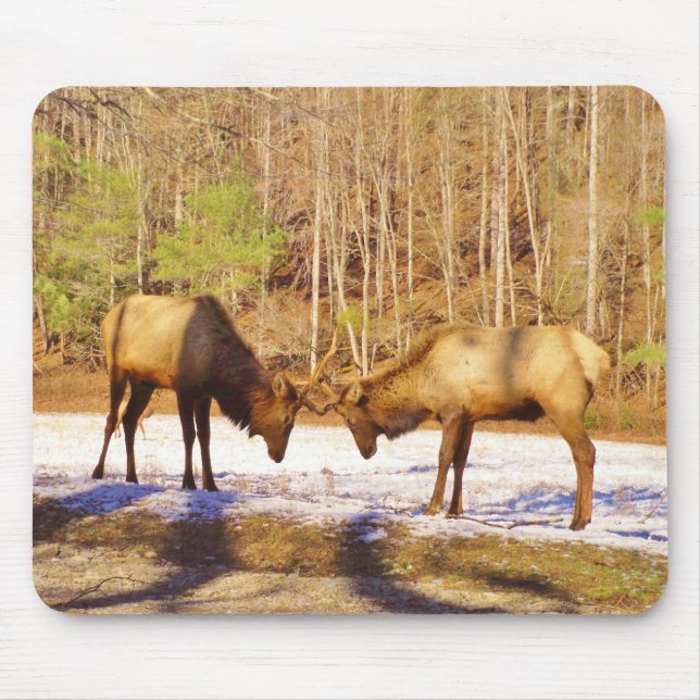 2~ two Bull Elk in the snow Mouse Mat (Front)