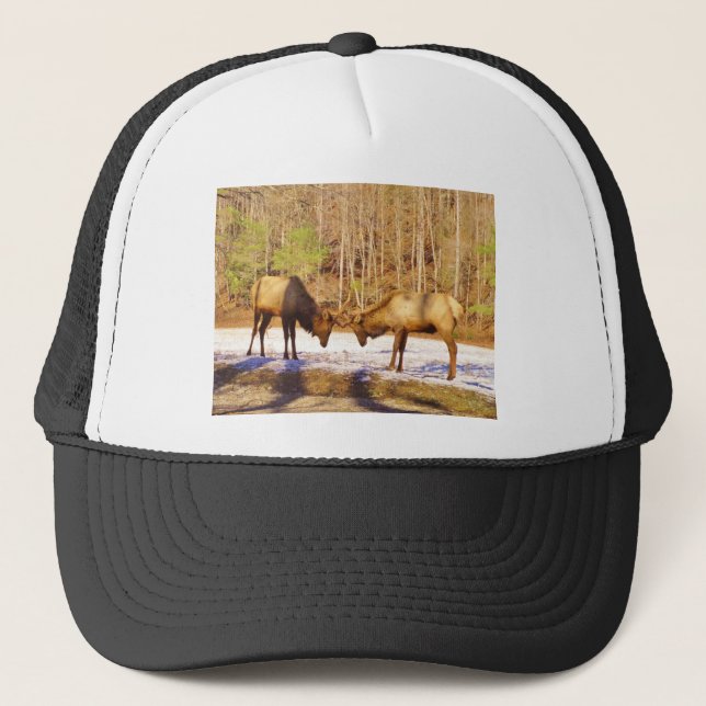 2~ two Bull Elk in the snow Trucker Hat (Front)