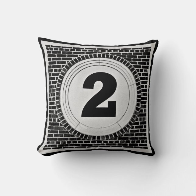 2 Two Too Much? with black and light grey border Cushion (Front)