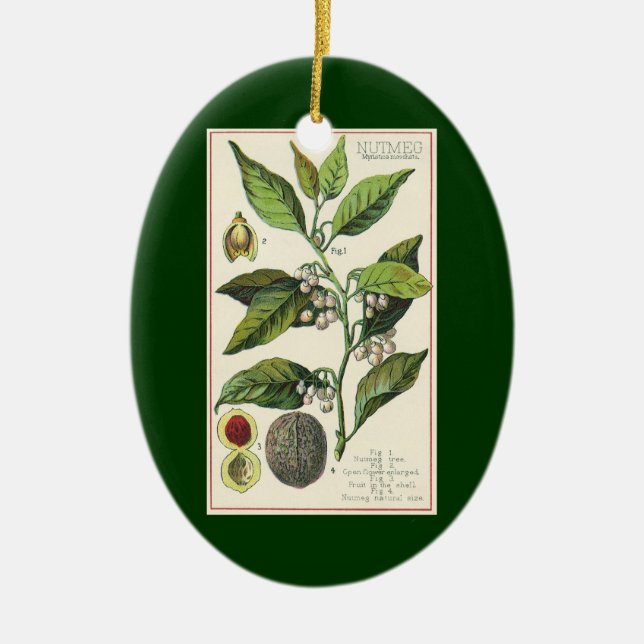 2 Vintage Spices Plants, Nutmeg and Black Pepper Ceramic Tree Decoration (Front)