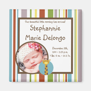 2"x2" Announcement Magnet Jungle Tales Safari