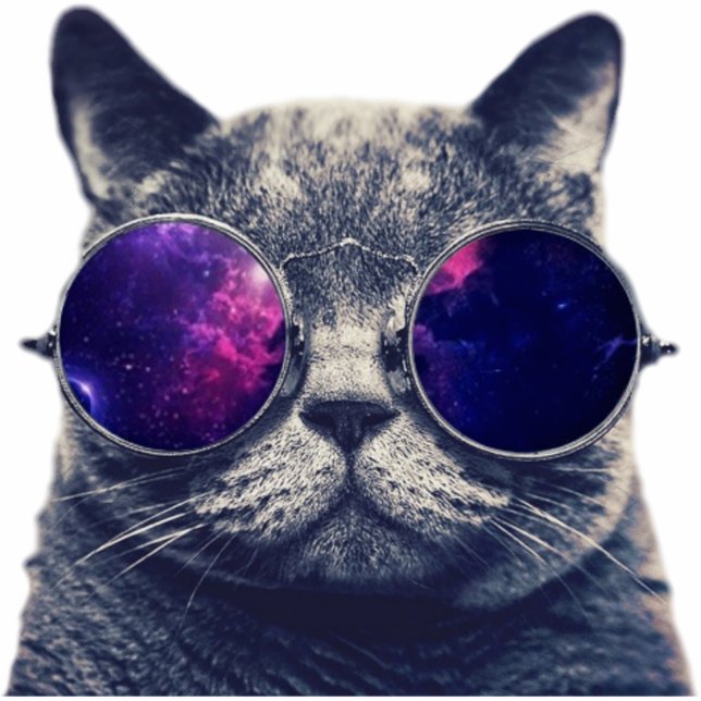 2"x3" Magnet Photo Sculpture Magnet (Front)