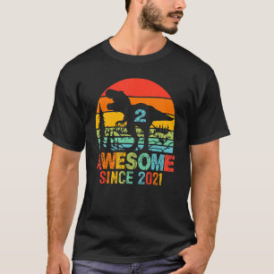 2 Year Old Boy 2nd Birthday Dinosaur Awesome Sinc T-Shirt