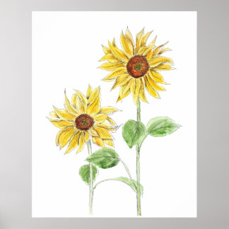 2 yellow sunflowers ink and watercolor  poster