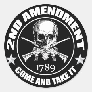 2nd Amendment Come And Take It Skull And AR's Classic Round Sticker