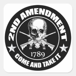 2nd Amendment Come And Take It Skull And AR's Square Sticker