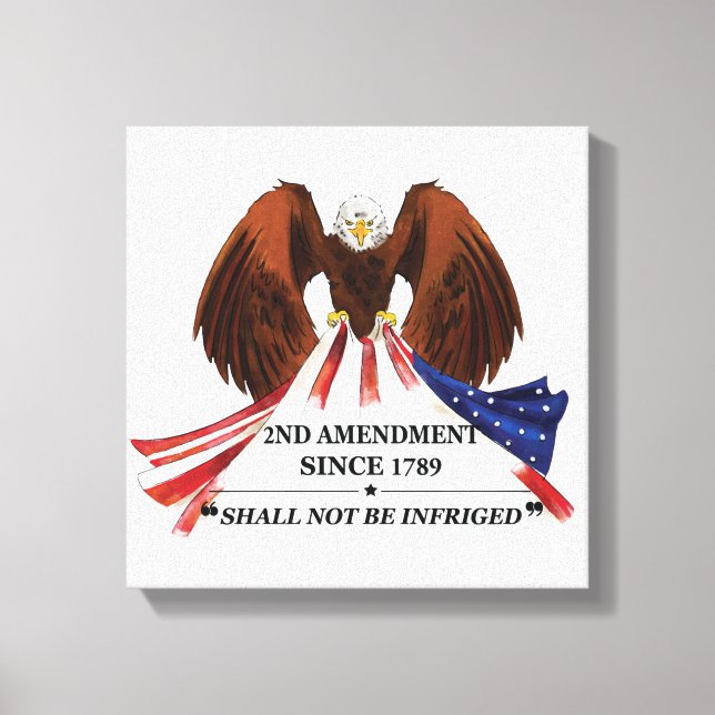 2nd Amendment  Throw Pillow Canvas Print (Front)