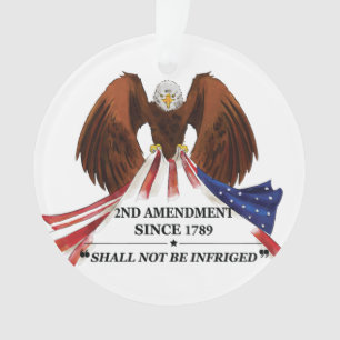 2nd Amendment  Throw Pillow Ornament