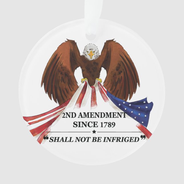 2nd Amendment  Throw Pillow Ornament (Front)