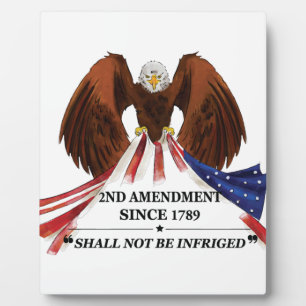 2nd Amendment Throw Pillow Plaque