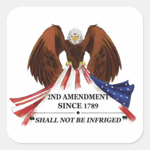 2nd Amendment Throw Pillow Square Sticker