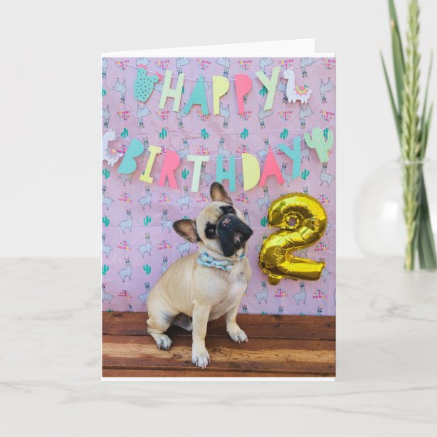2nd Dog Birthday Cards | Zazzle UK