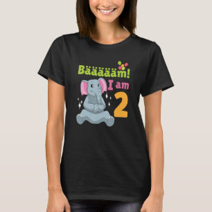 2nd Birthday Elephant Themed Birthday Party 2 Year T-Shirt