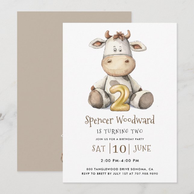 2nd birthday Party Boy Invitation (Front/Back)