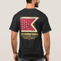 2nd Florida Cavalry