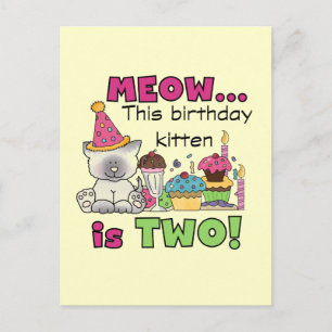 2nd Kitten Birthday Tshirts and Gifts Postcard