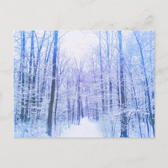 2Winter Woodland postcard (Front)