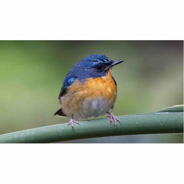 2x3 photo sculpture magnet (Front)