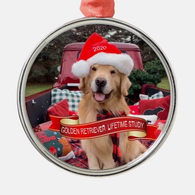 3000strong 2020 Round Pewter Ornament (Front)