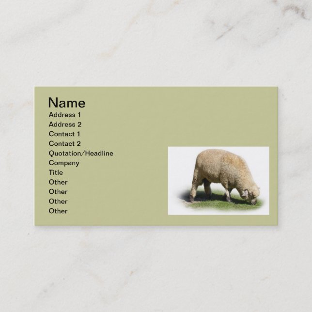 300_2A0019 SHEEP LAMB Grazing farm animals Business Card (Front)