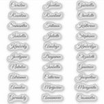 30 Guest first names Calligraphy Elegant script<br><div class="desc">30 Guest first names Calligraphy Elegant script Sticker</div>