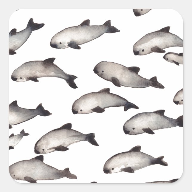 30 vaquita porpoise dolphin square sticker (Front)
