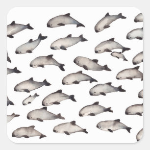 30 vaquita porpoise dolphin square sticker