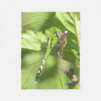 30"x40" Fleece Blanket of ITW1 original photo