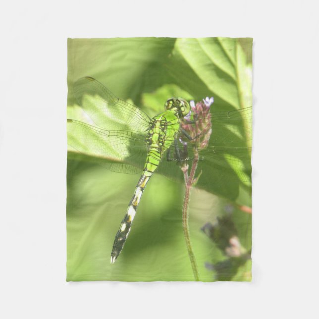 30"x40" Fleece Blanket of ITW1 original photo (Front)