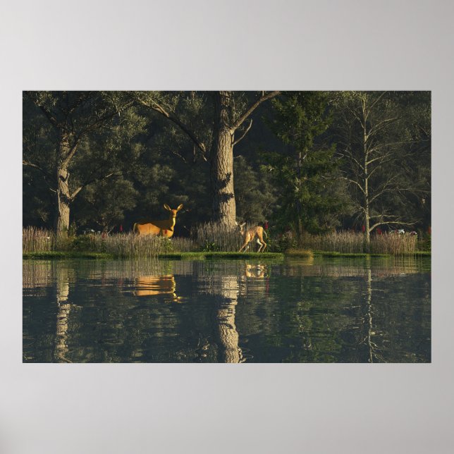 30" x 24" paper Poster w' "Startled" image (Front)