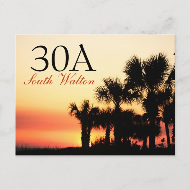 30A - South Walton Palm Tree Sunset Postcard (Front)