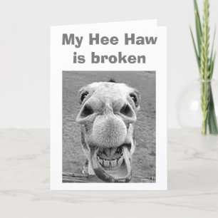 30th BIRTHDAY=BROKEN HEE HAW FOR THIS DONKEY Card
