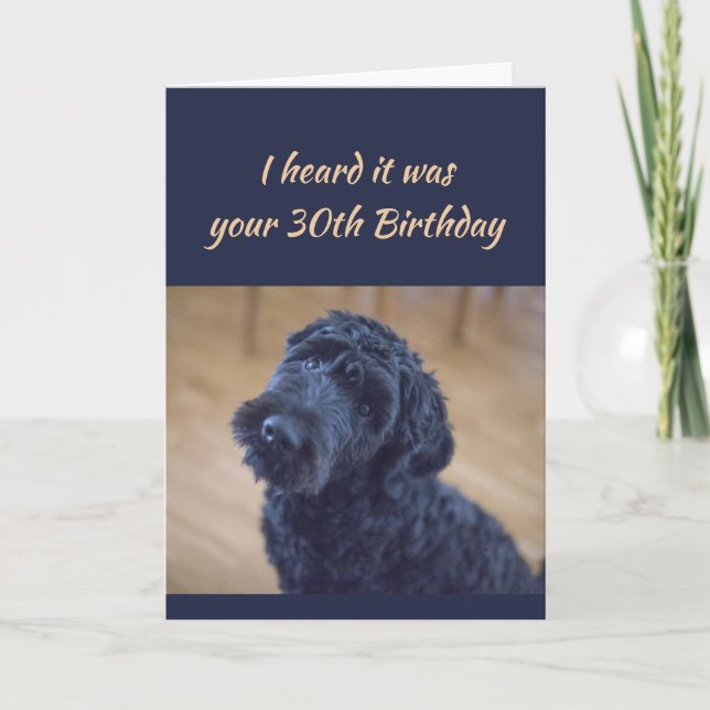 30th Birthday Fun Cute Black Curly Dog Pet Card (Front)