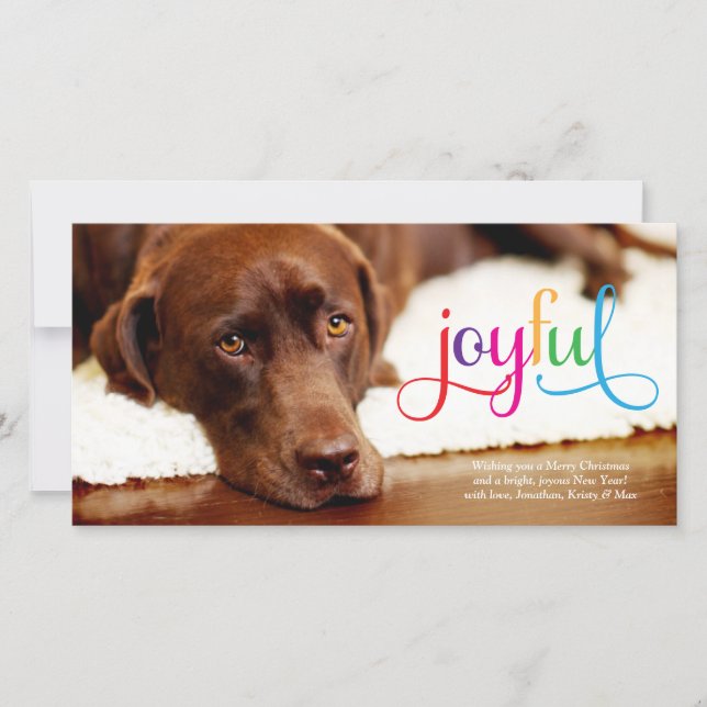 311 Colourful Joyful Pet Christmas Card (Front)