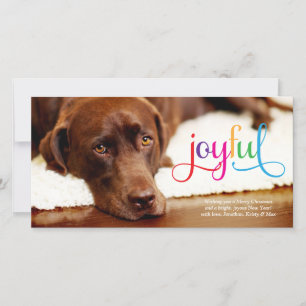 311 Colourful Joyful Pet Christmas Card
