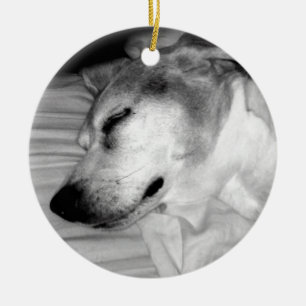 311-Custom Dog Photo Ornament
