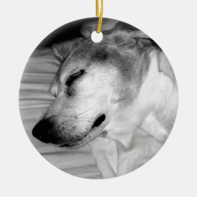 311-Custom Dog Photo Ornament (Front)