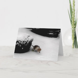 311-Graduation Congratz Card