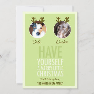 311 Moss Green Pet Antler Holiday Photo Card