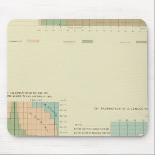 32 Conjugal condition, divorced 1890 Mouse Mat