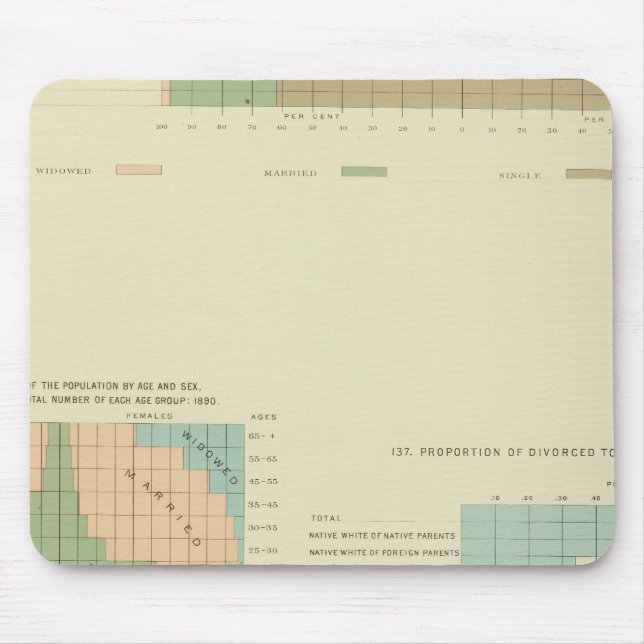32 Conjugal condition, divorced 1890 Mouse Mat (Front)