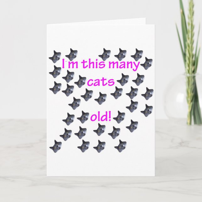 33 Cat Heads Old Card (Front)