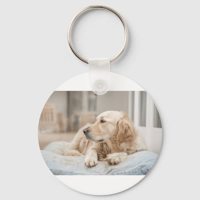 34137641_xxl key ring (Front)
