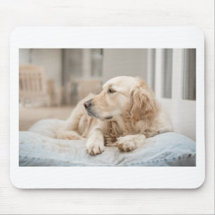 34137641_xxl mouse mat