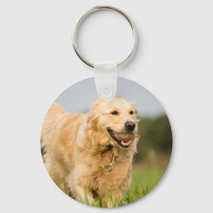 34520685_xxl key ring