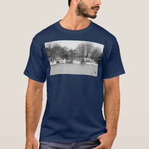 349 Slushy Lake Surface T-Shirt