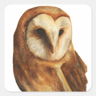 360 degrees square sticker